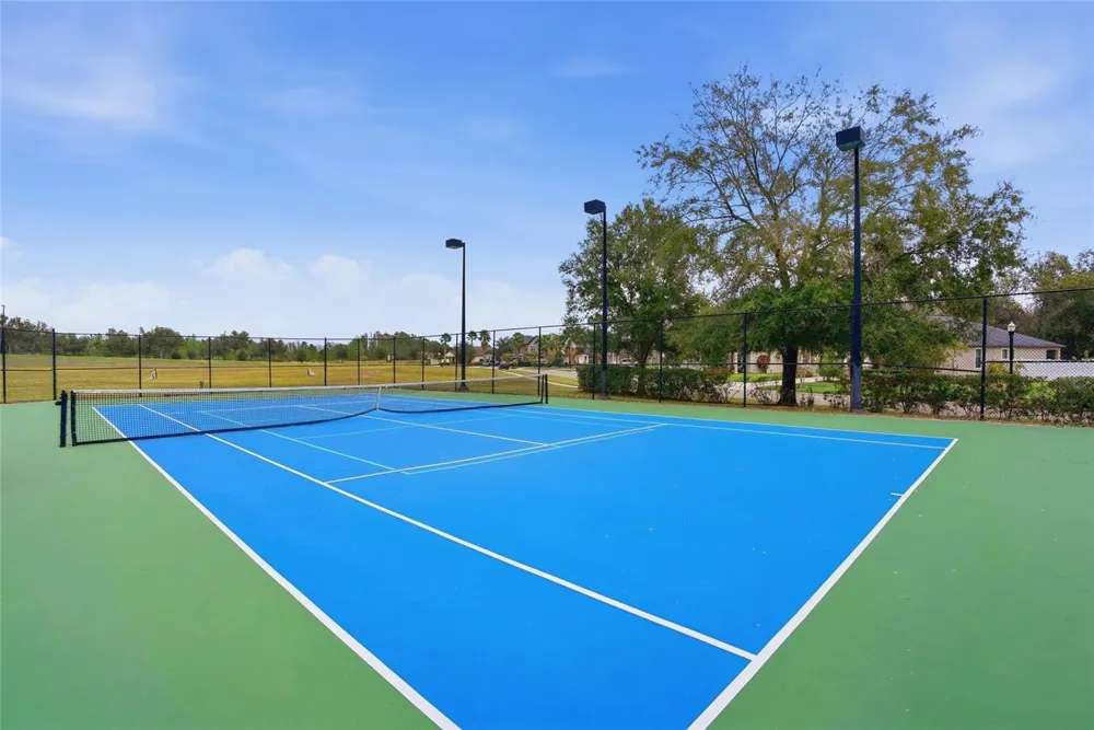21676 SNOWY ORCHID TERRACE Land O Lakes, FL 34637