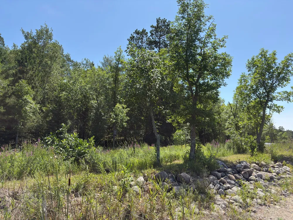 9962 Knotty Pine Drive Park Rapids, MN 56470