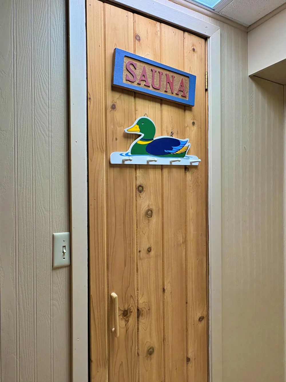 9962 Knotty Pine Drive Park Rapids, MN 56470