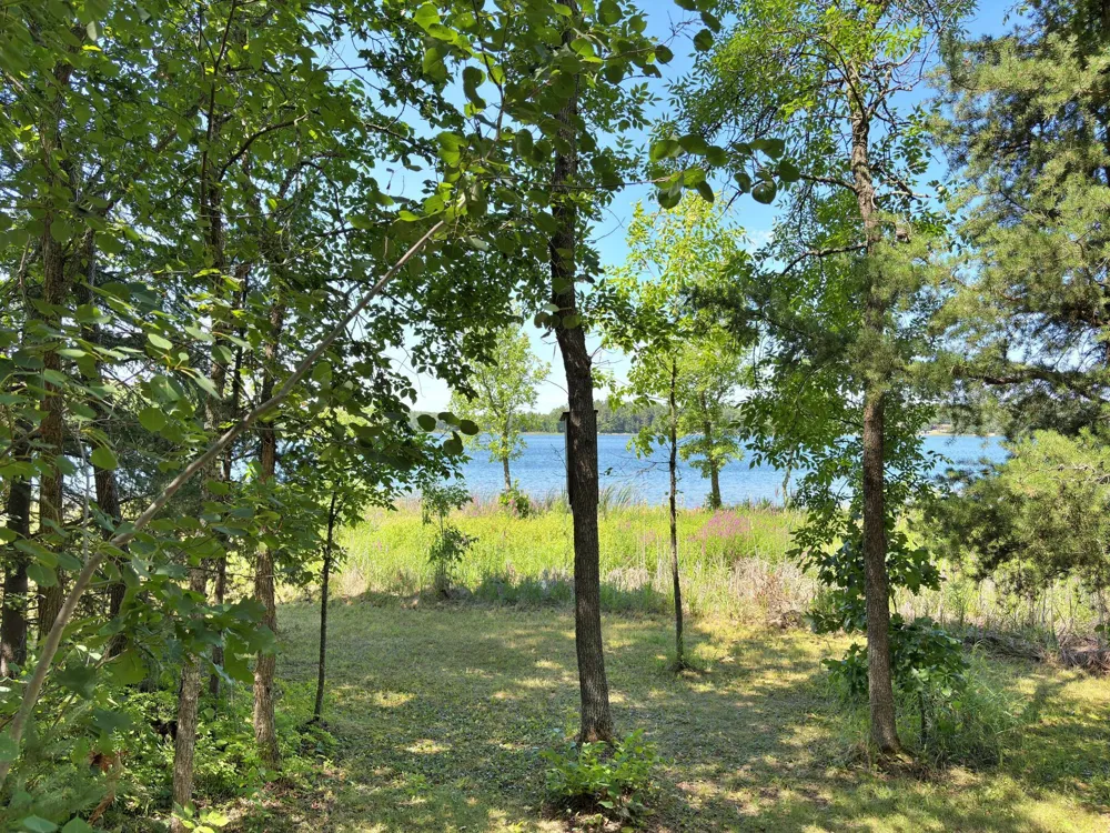 9962 Knotty Pine Drive Park Rapids, MN 56470