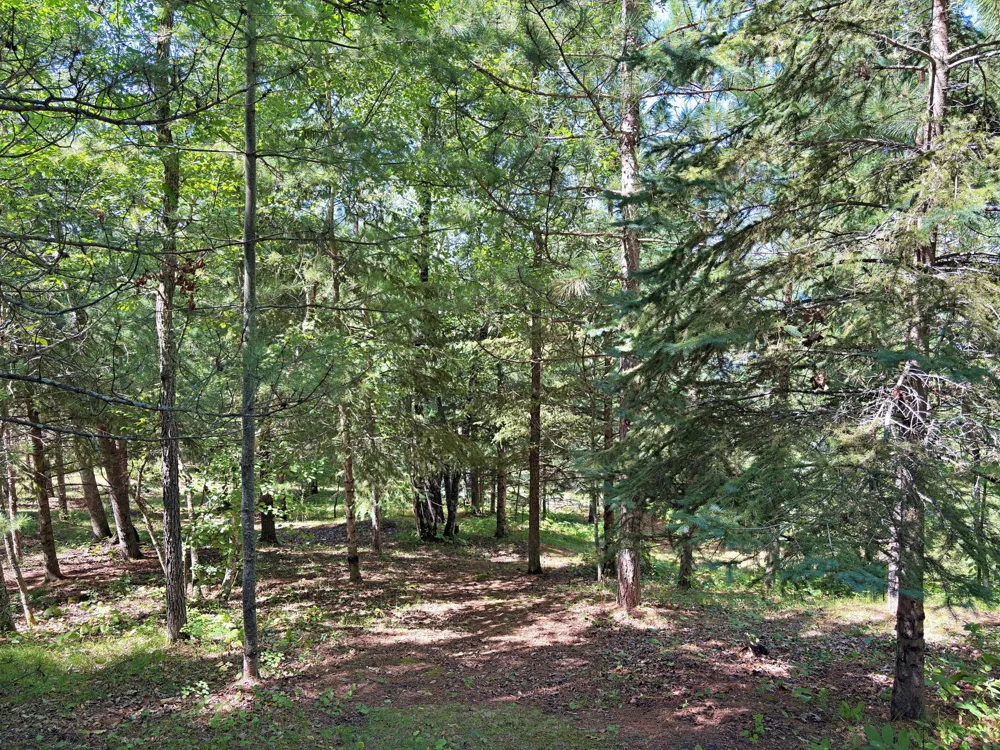9962 Knotty Pine Drive Park Rapids, MN 56470