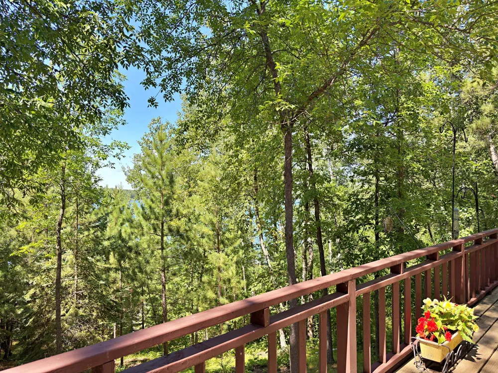 9962 Knotty Pine Drive Park Rapids, MN 56470