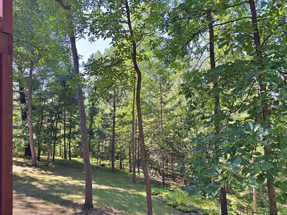 9962 Knotty Pine Drive Park Rapids, MN 56470