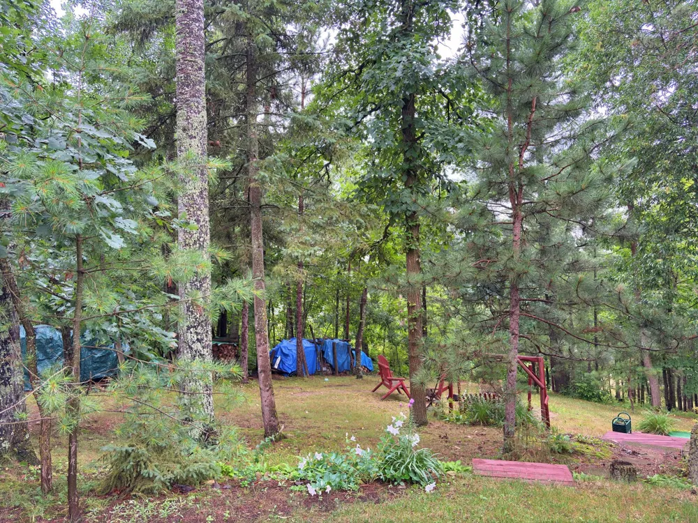 9962 Knotty Pine Drive Park Rapids, MN 56470