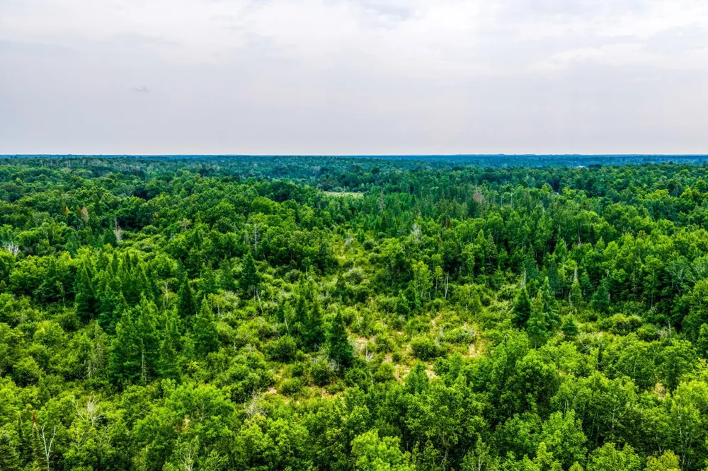 TBD Scenic Highway Pennington, MN 56633