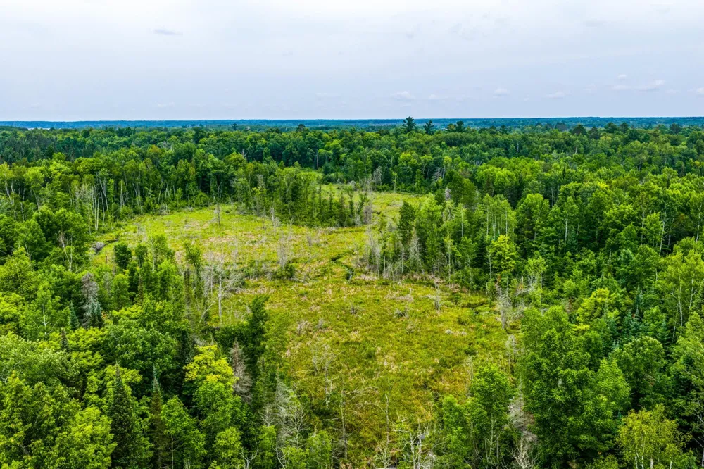 TBD Scenic Highway Pennington, MN 56633