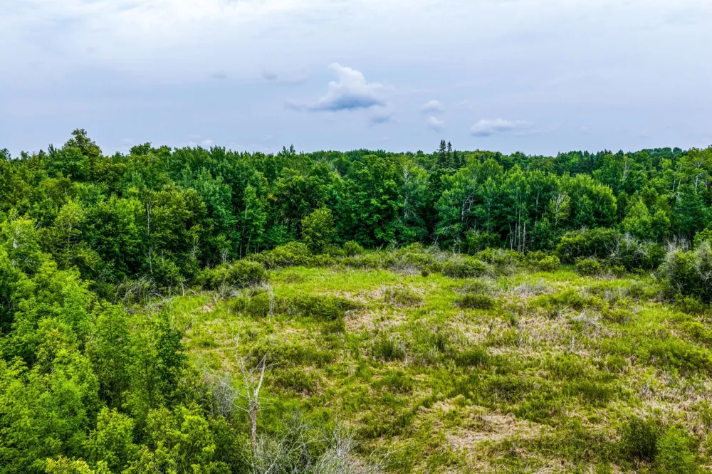 TBD Scenic Highway Pennington, MN 56633