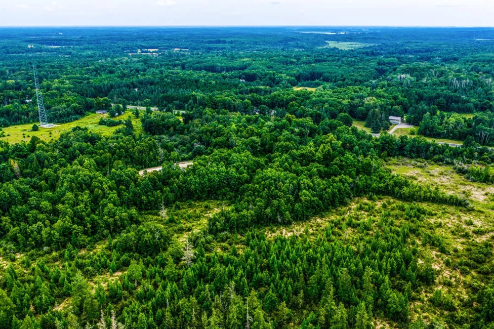TBD Scenic Highway Pennington, MN 56633