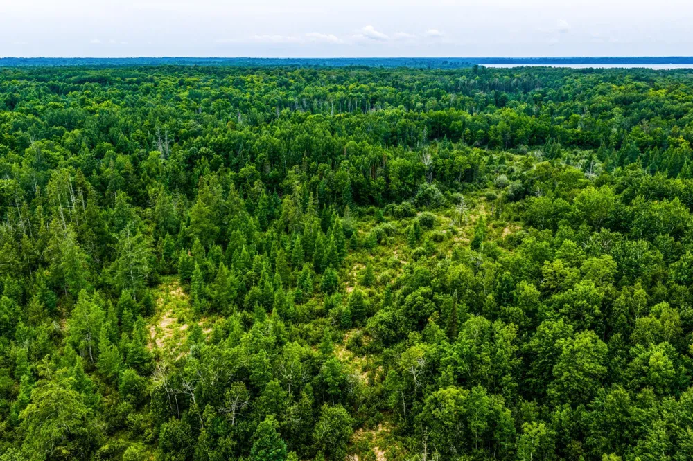 TBD Scenic Highway Pennington, MN 56633
