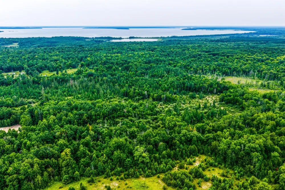 TBD Scenic Highway Pennington, MN 56633