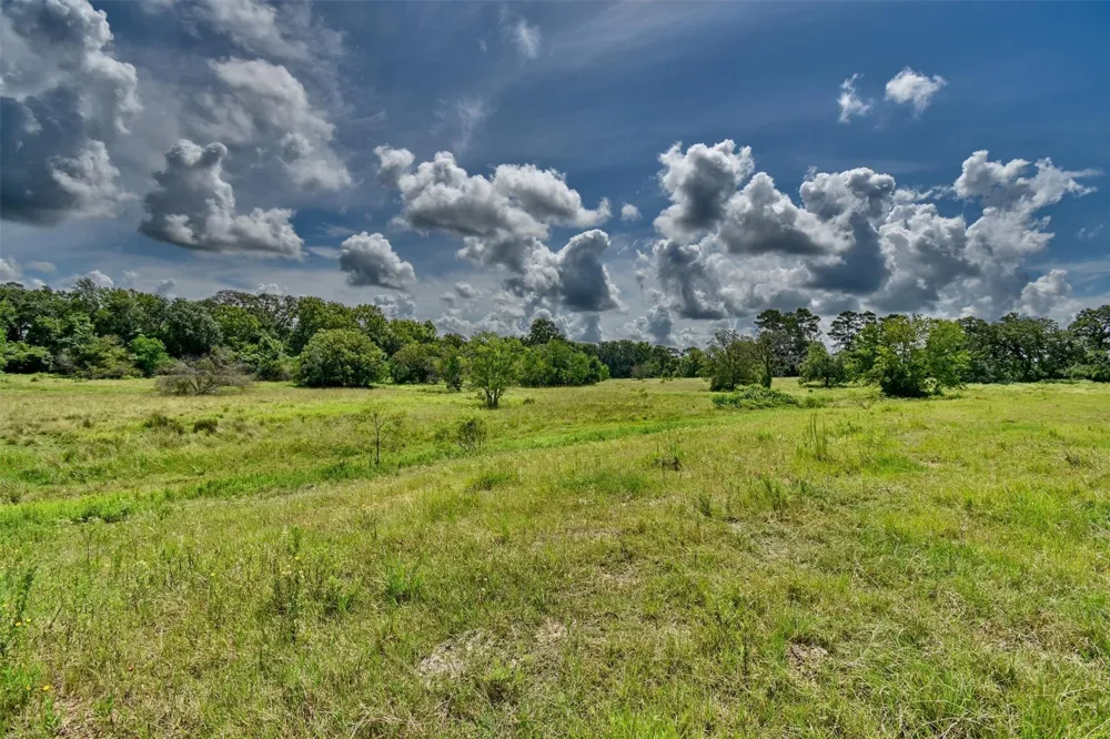 2316 Highway 159 E Bellville, TX 77418