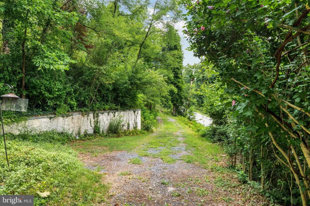 10170 CARPERS PIKE Yellow Spring, WV 26865