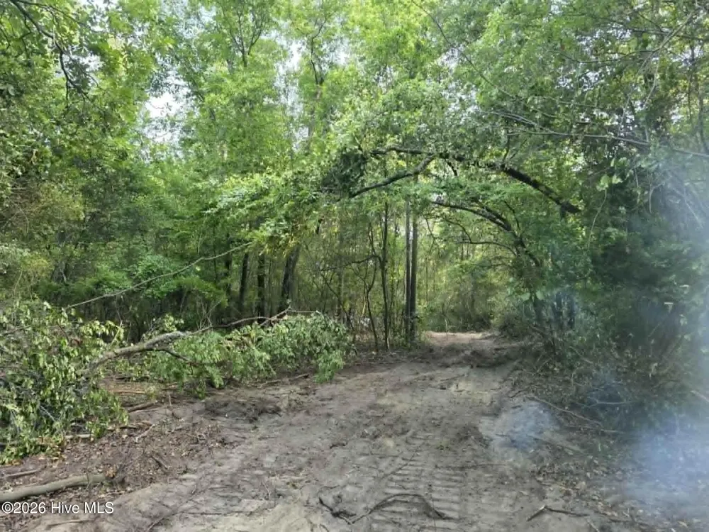 5 Acres Woodberry Lane North Augusta, SC 29841