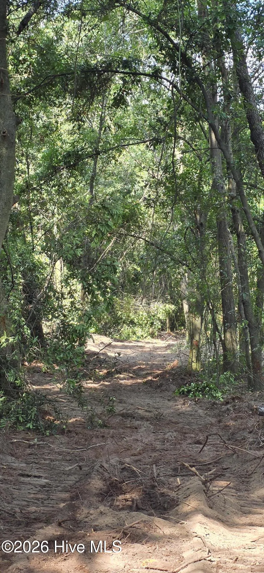 5 Acres Woodberry Lane North Augusta, SC 29841