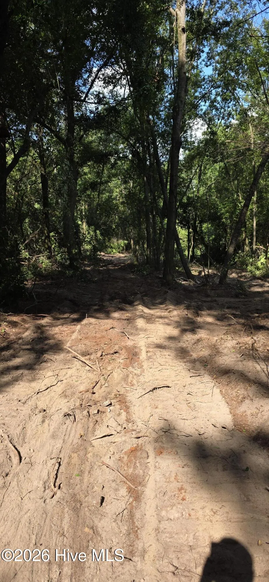 5 Acres Woodberry Lane North Augusta, SC 29841