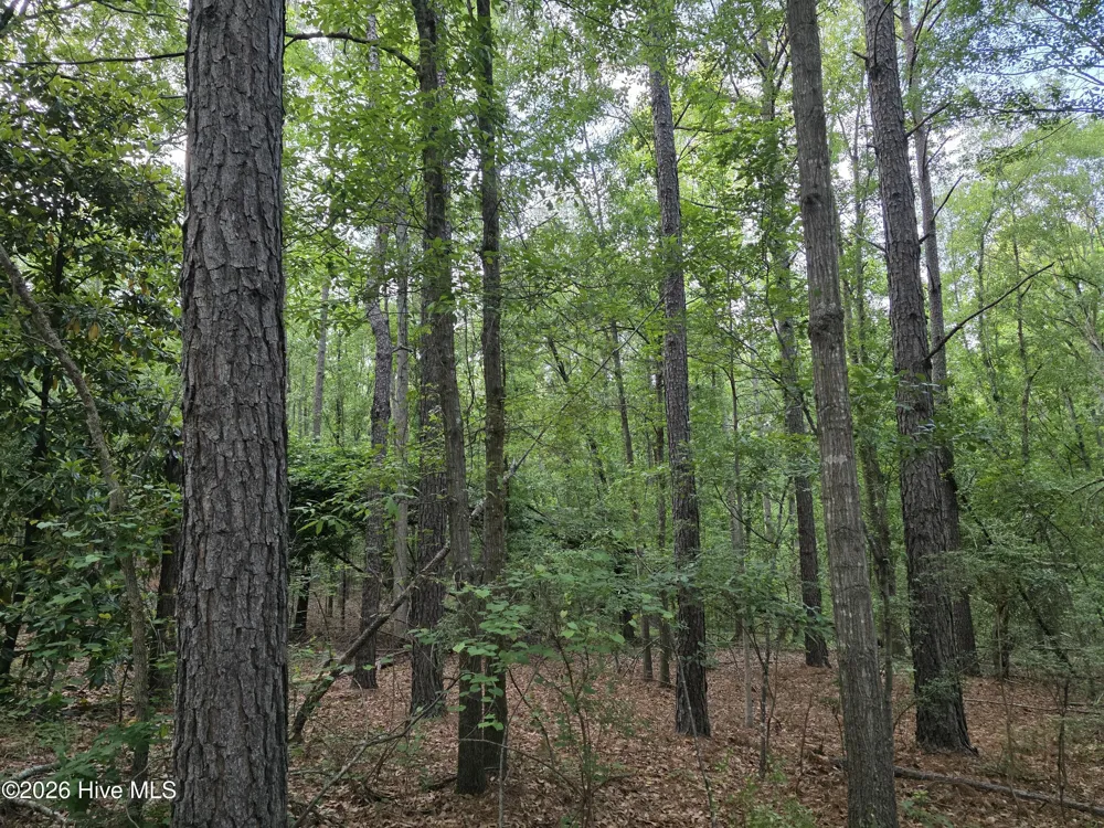 5 Acres Woodberry Lane North Augusta, SC 29841