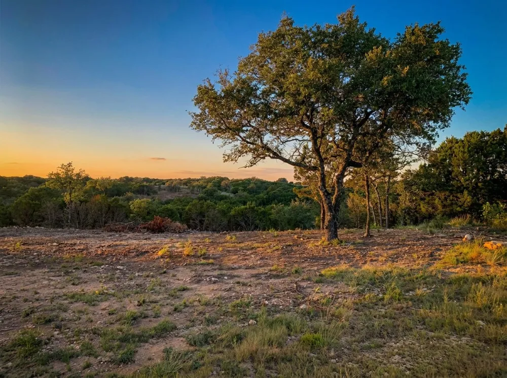 1101 Creek Crossing Road Nemo, TX 76070