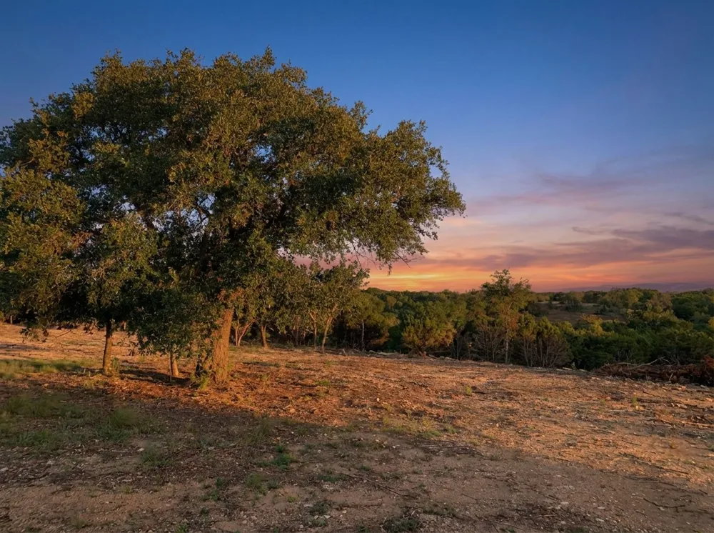 1101 Creek Crossing Road Nemo, TX 76070