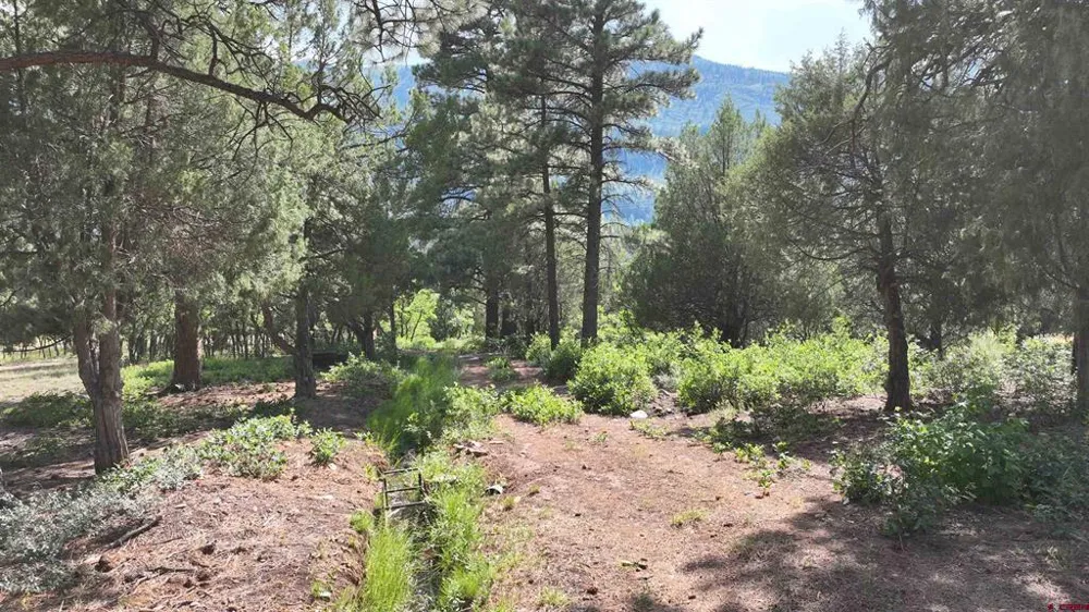 3 White House Vista Lane Ridgway, CO 81432