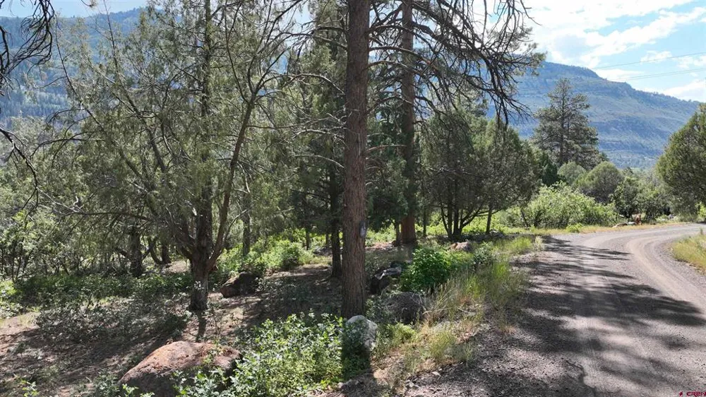 3 White House Vista Lane Ridgway, CO 81432