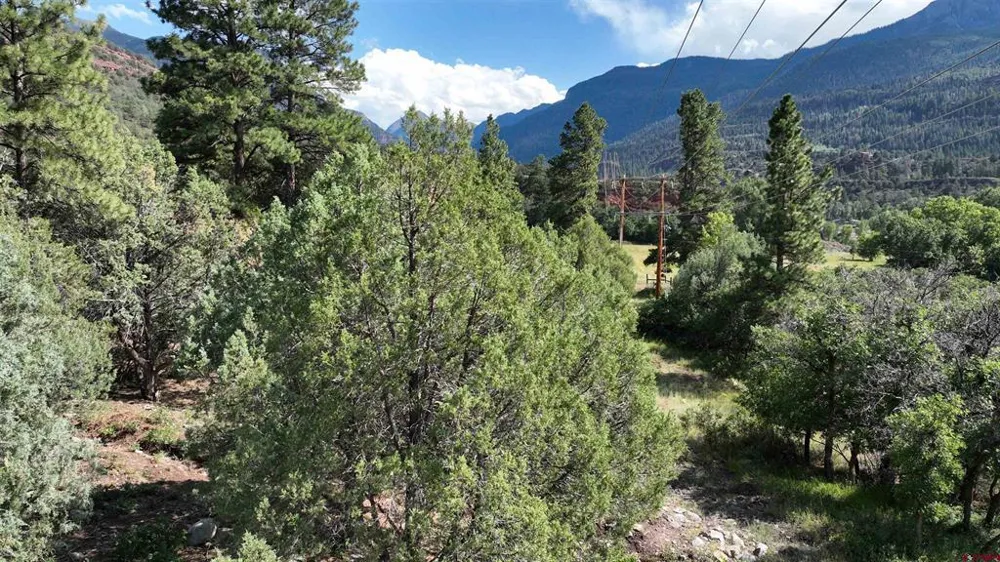 3 White House Vista Lane Ridgway, CO 81432