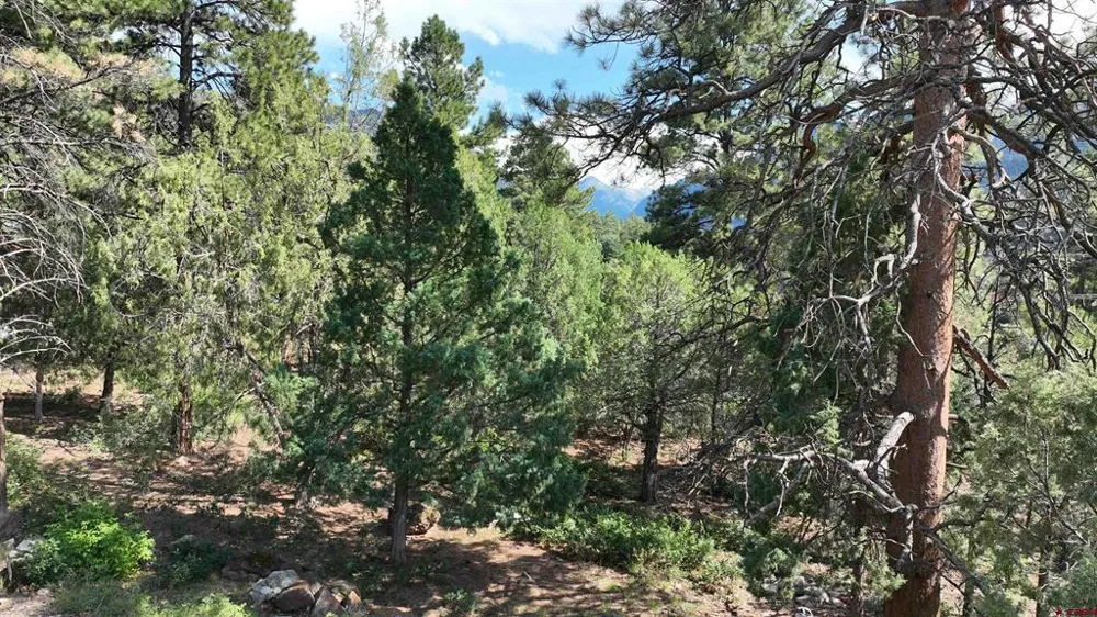 3 White House Vista Lane Ridgway, CO 81432