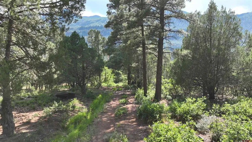 3 White House Vista Lane Ridgway, CO 81432