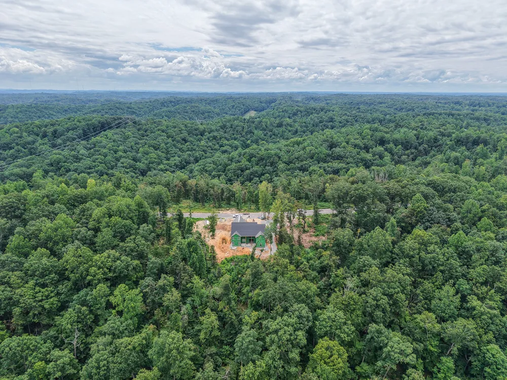 349 FallingTimber Drive Pegram, TN 37143