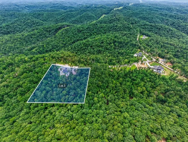 349 FallingTimber Drive Pegram, TN 37143