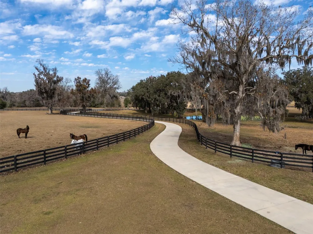11920 SE 22ND AVE ROAD ocala, FL 34480