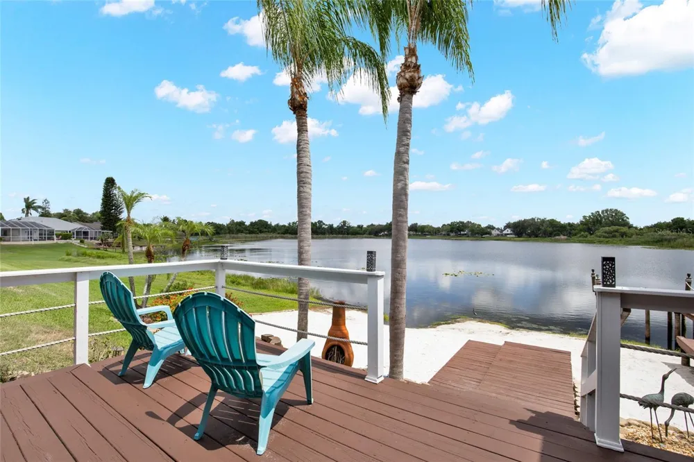 22523 WILLOW LAKES DRIVE Lutz, FL 33549