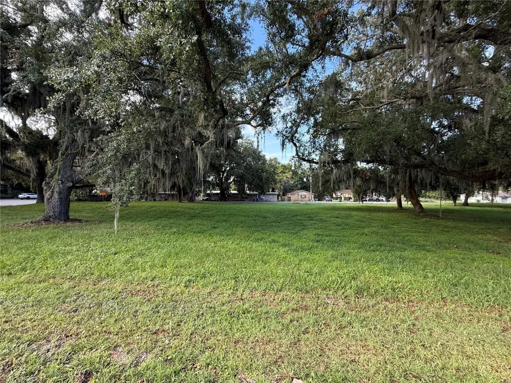 1130 MCNAMEE ST HWY 441 HIGHWAY Leesburg, FL 34748