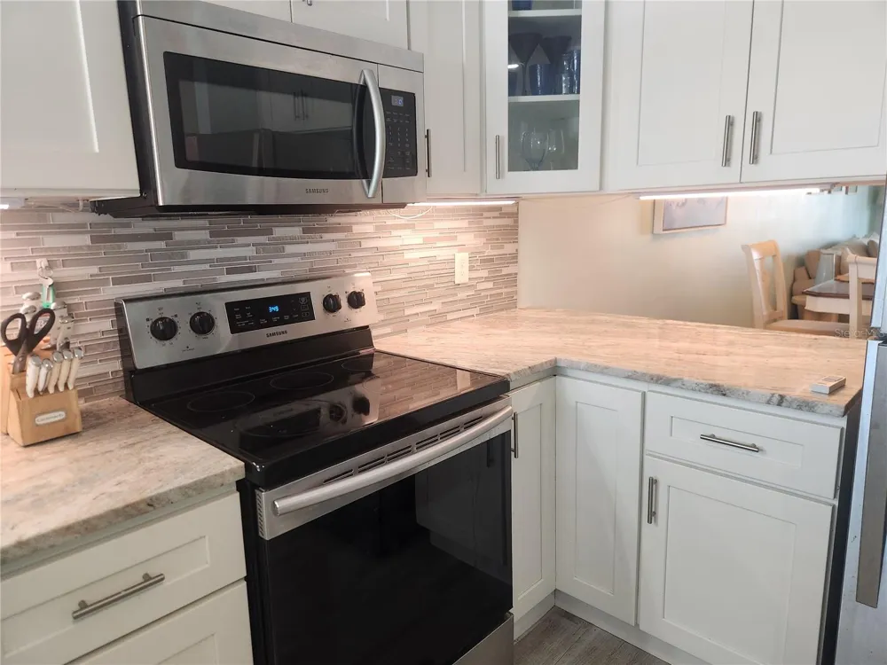 1008 APOLLO BEACH BOULEVARD #204 Apollo Beach, FL 33572