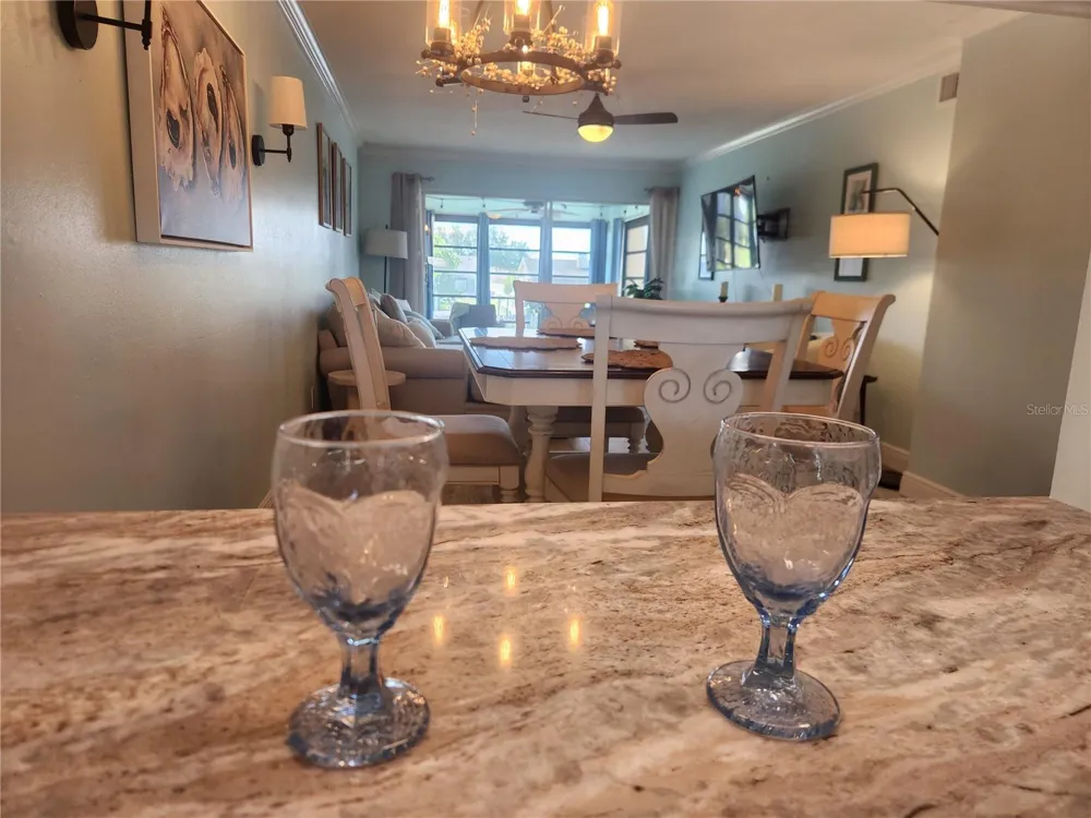 1008 APOLLO BEACH BOULEVARD #204 Apollo Beach, FL 33572