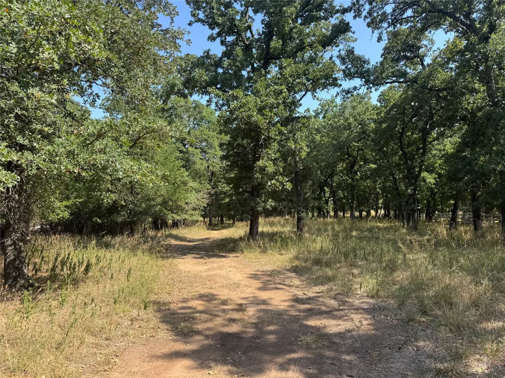 121 Comanche Moon Court Decatur, TX 76234