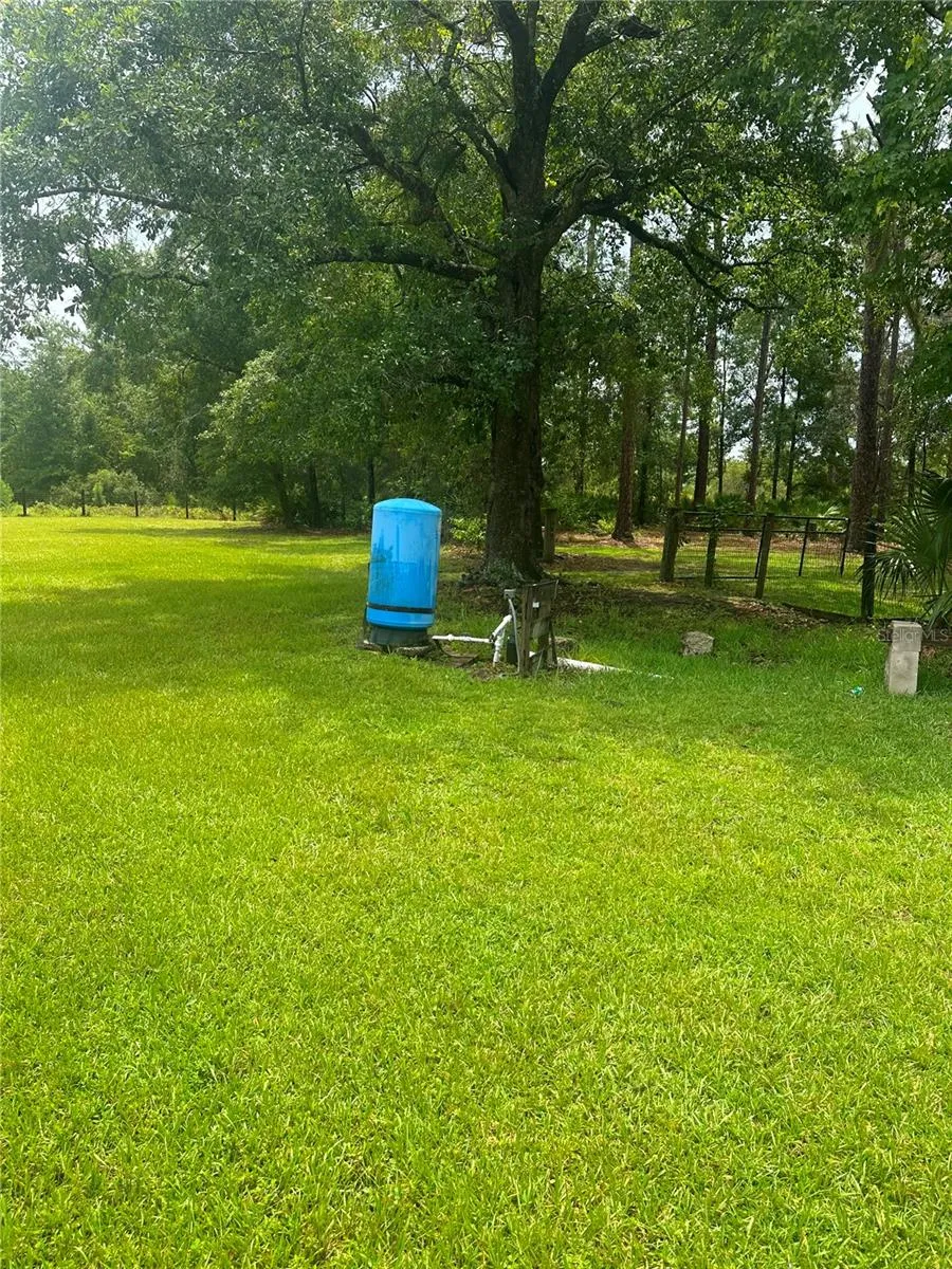 7251 NE 227TH PLACE Citra, FL 32113