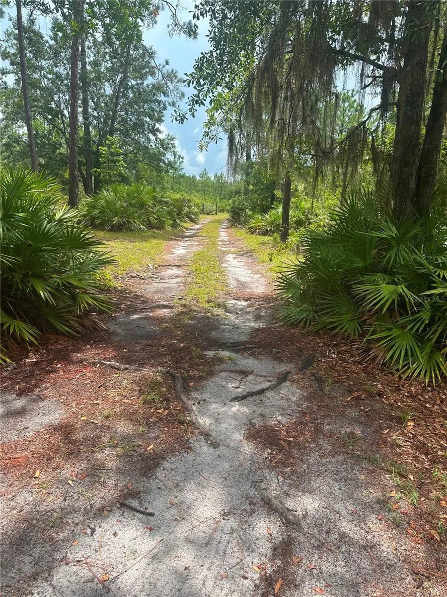 7251 NE 227TH PLACE Citra, FL 32113