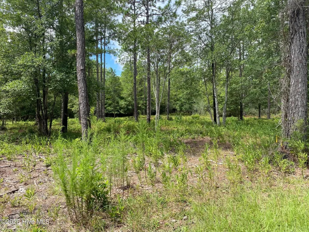 361 Ash Road Boiling Spring Lakes, NC 28461