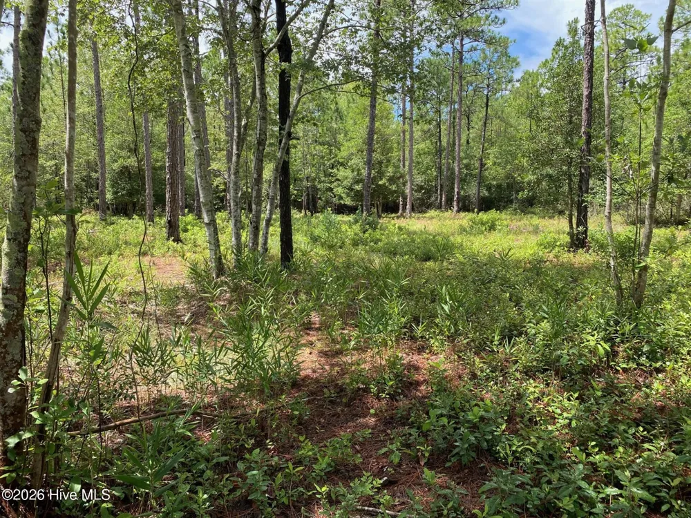 361 Ash Road Boiling Spring Lakes, NC 28461