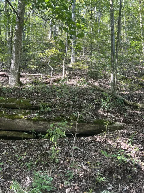 0 NEELEY CREEK RD
