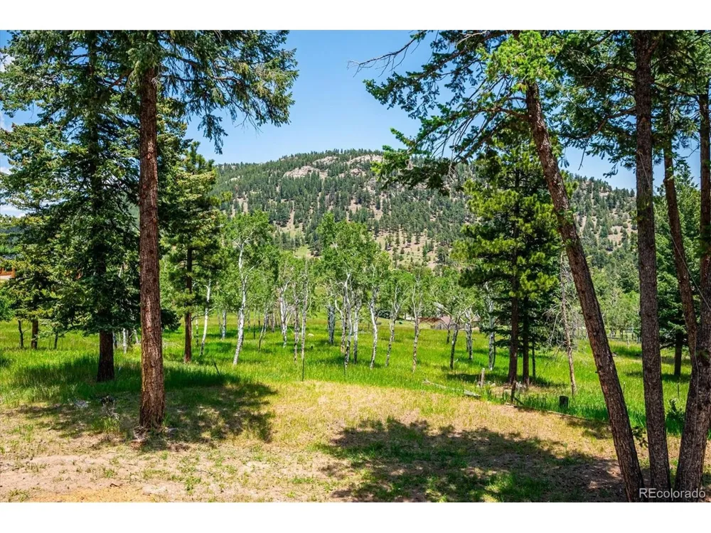 6528 Modoc Lane Evergreen, CO 80439