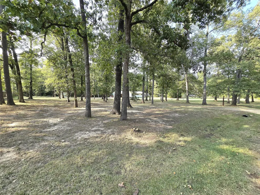 2295 Harley Golden Road Huntington, TX 75949