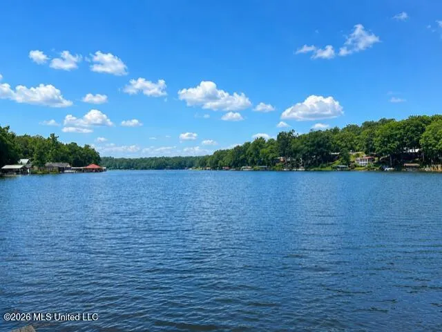979 Snow Lake Drive Ashland, MS 38603