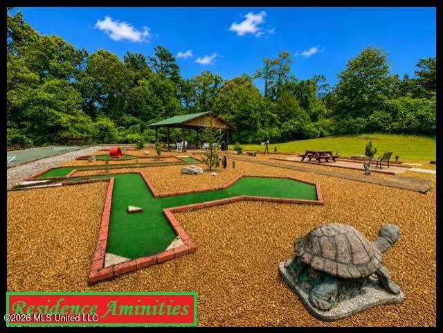 979 Snow Lake Drive Ashland, MS 38603