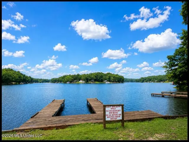 979 Snow Lake Drive Ashland, MS 38603
