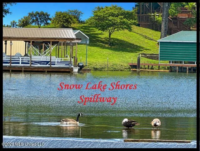 979 Snow Lake Drive Ashland, MS 38603