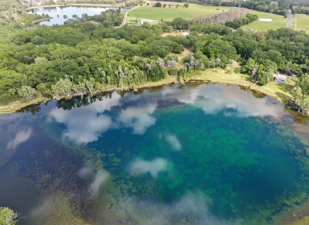 0000 GUNN HIGHWAY Odessa, FL 33556