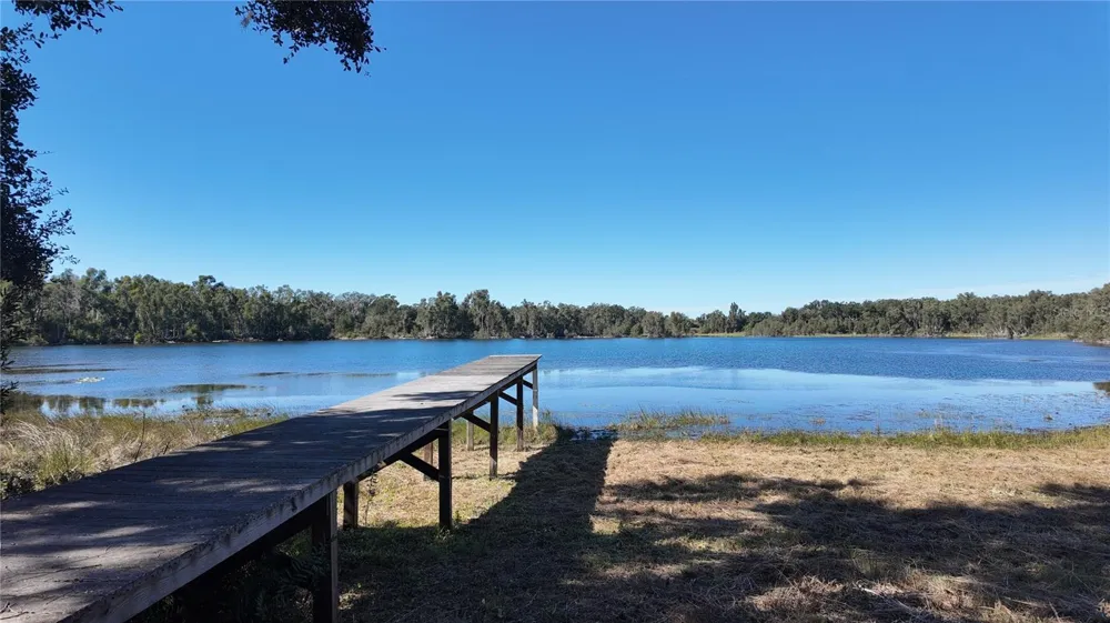 0000 GUNN HIGHWAY Odessa, FL 33556