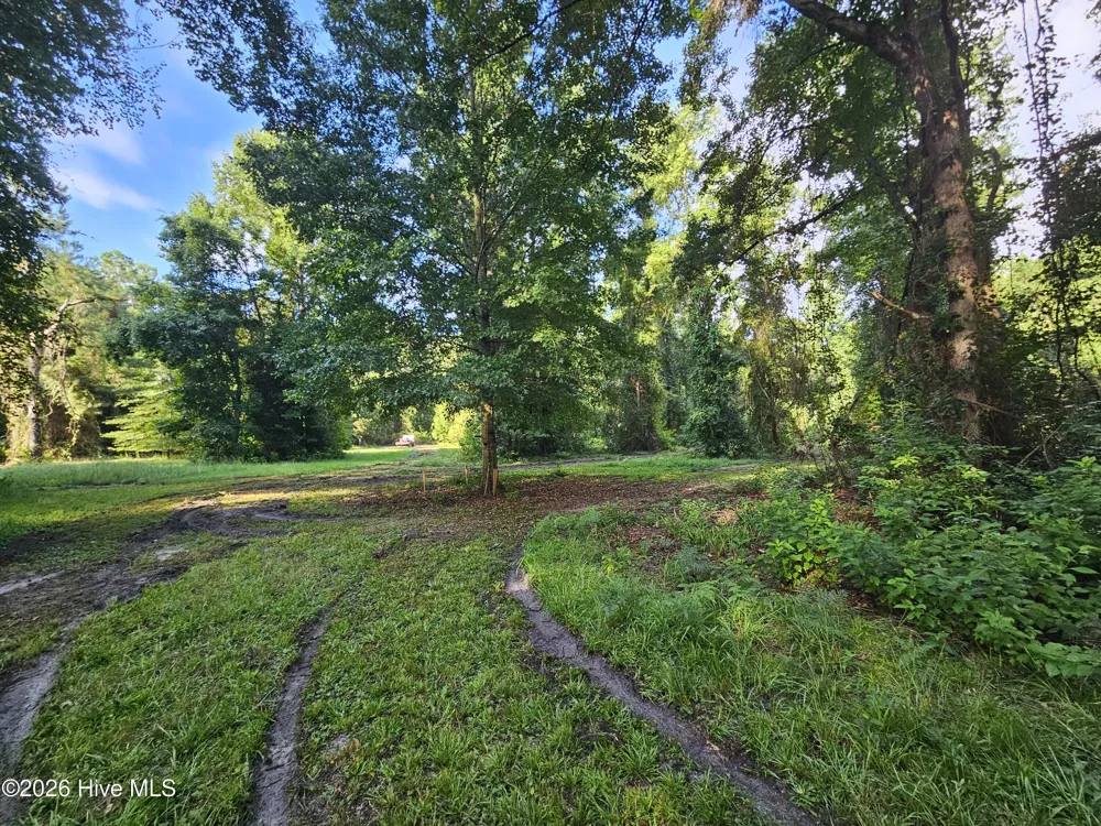 81 E Waterway Drive Belhaven, NC 27810