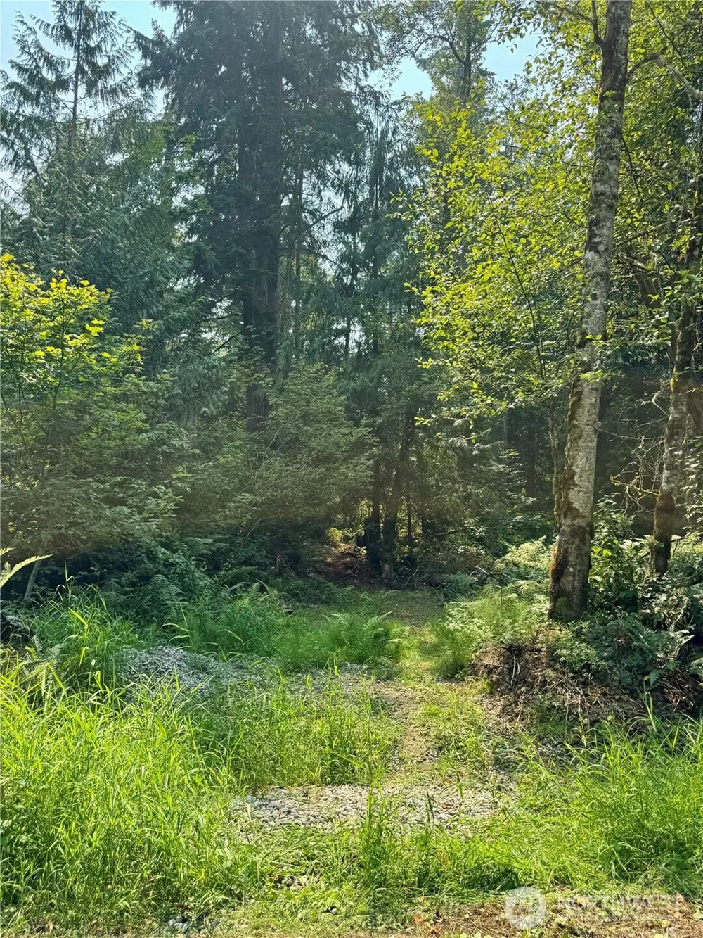 28301 SE 43rd Street Fall City, WA 98024